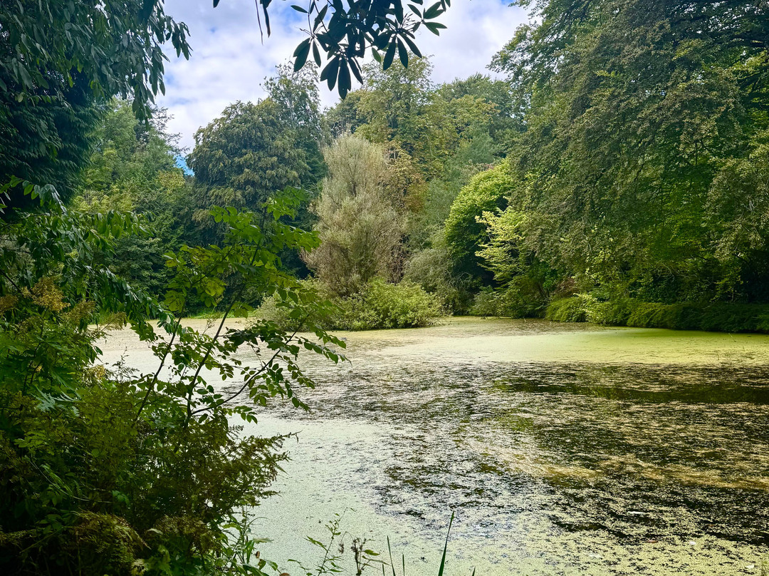 Arbigland House and Gardens-邓弗里斯必去景点