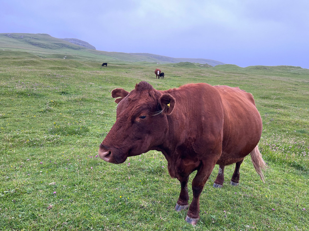 Isle of Barra-The Hebrides必去景点