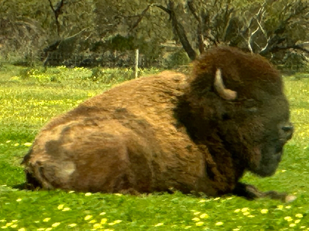 Monarto Safari Park-Monarto必去景点