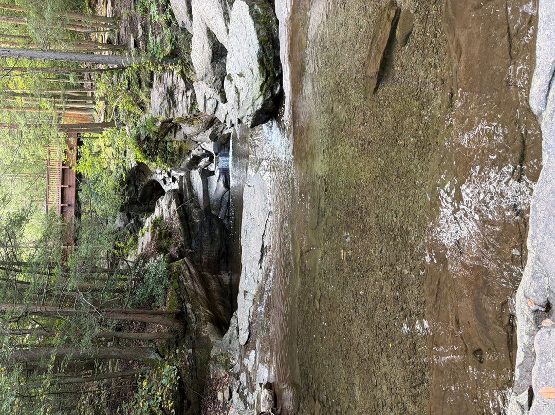 Seven Tubs Recreation Area-威尔克斯-巴里必去景点