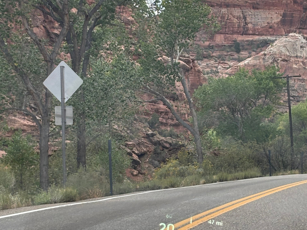 Dixie National Forest-锡达城必去景点