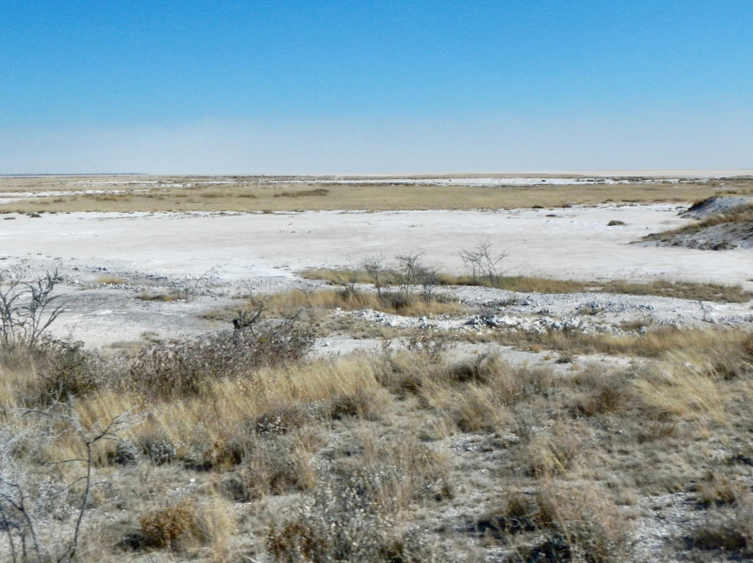 Etosha Pan-纳米比亚埃托沙国家公园必去景点