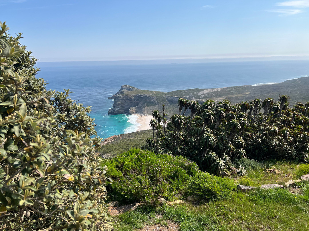 Table Mountain National Park-Cape Point必去景点