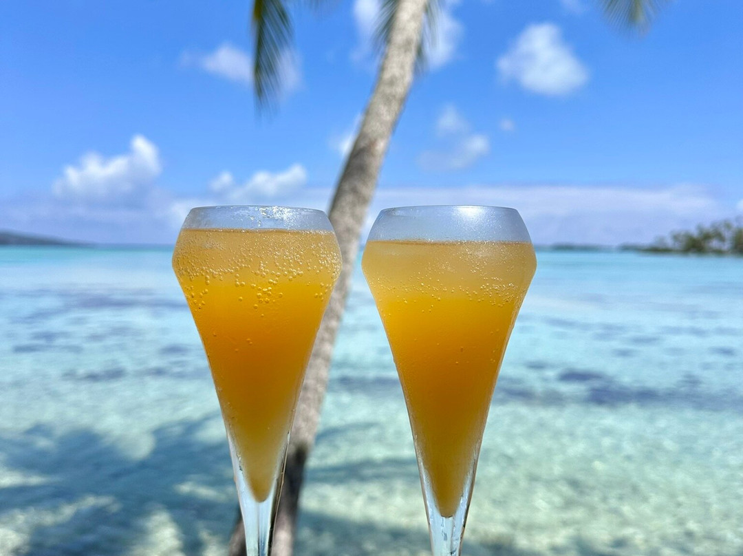 Vahine Private Island主图