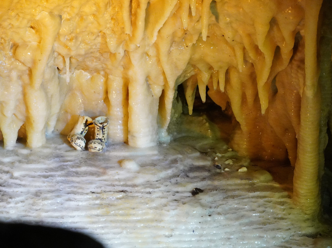 Kaikōura Cave Tours-Kaikoura必去景点