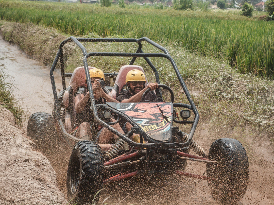 Ubud Quad Bike Adventure-乌布必去景点