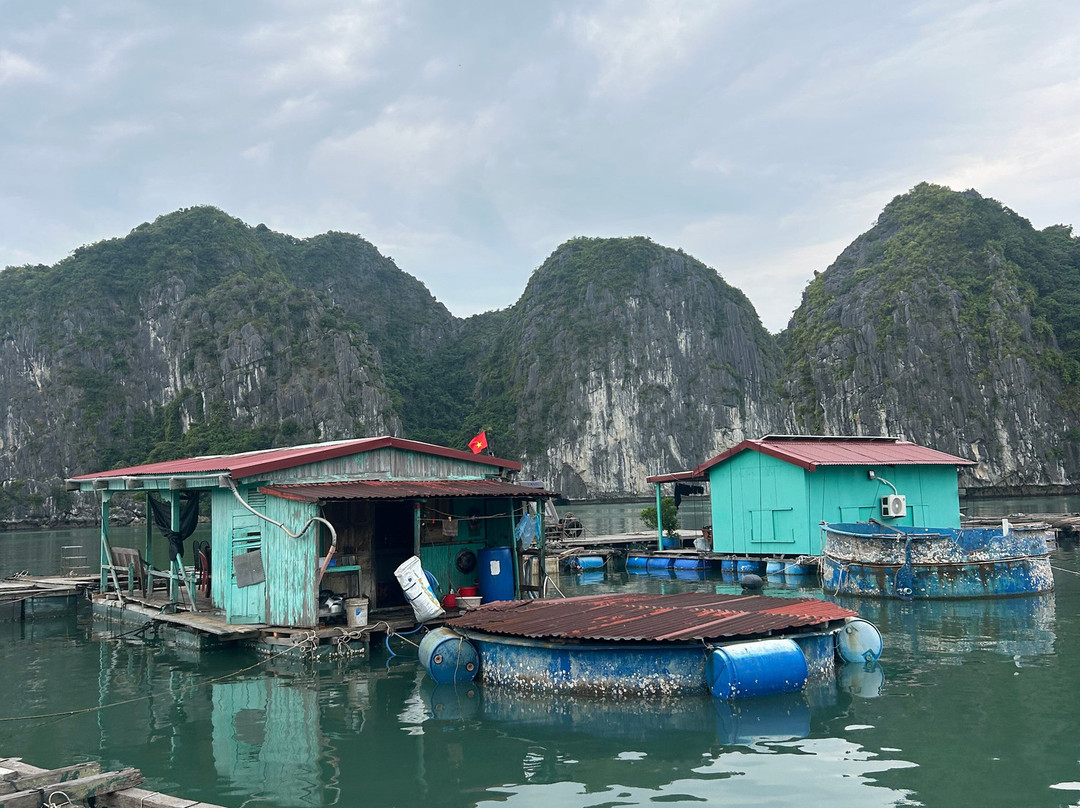 Cat Ba Ocean Cruises-广宁省必去景点