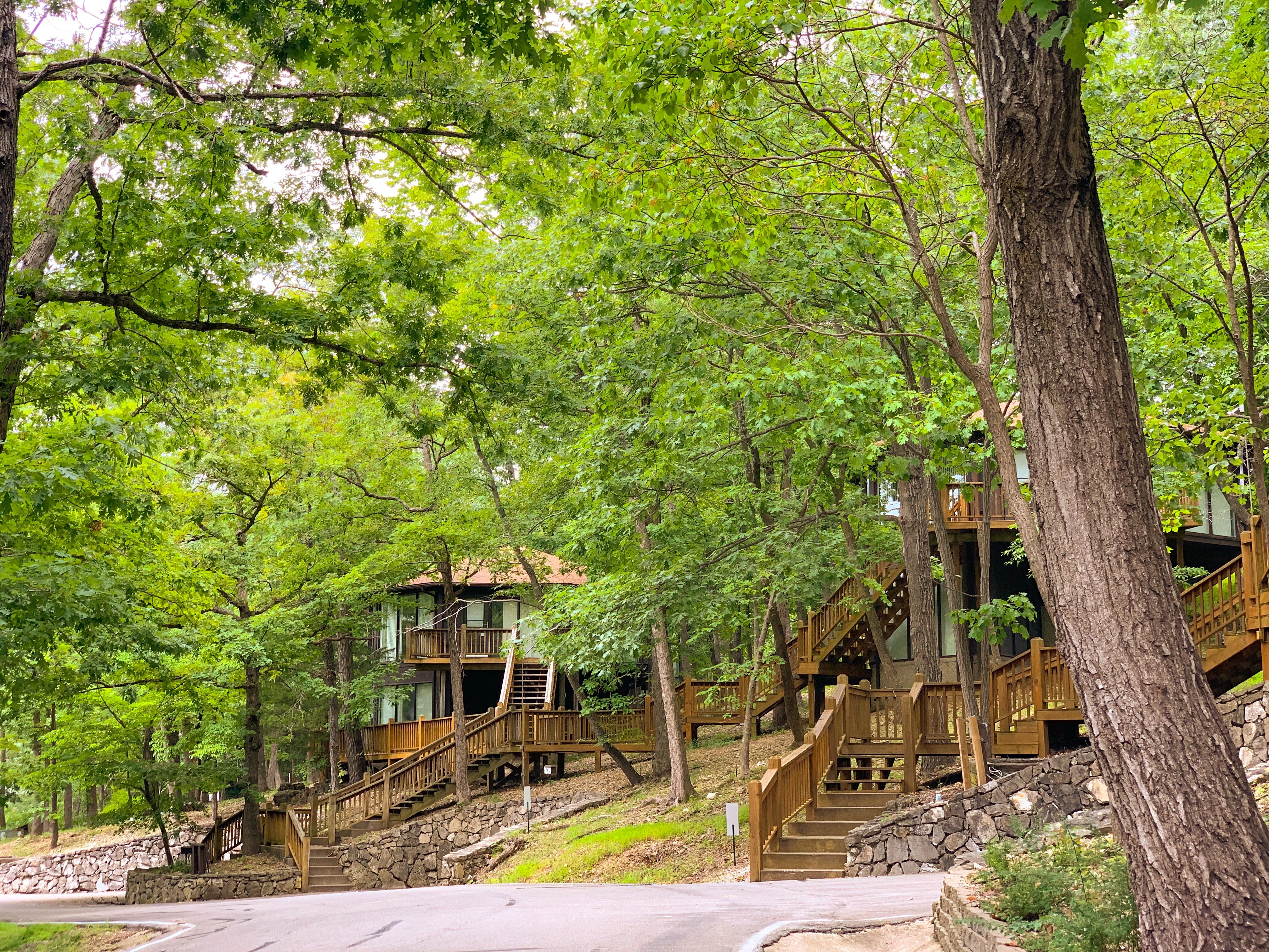 Treetop Village-官方