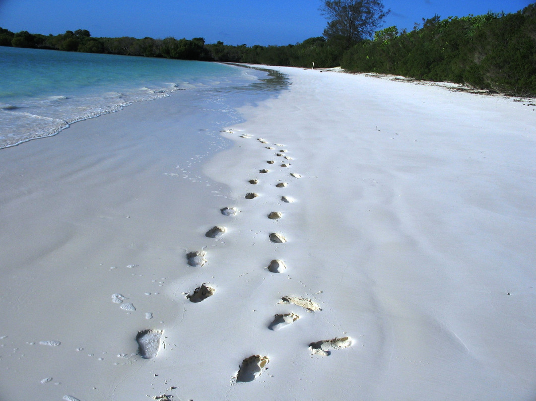 奔巴岛酒店住宿-Pemba Eco Lodge