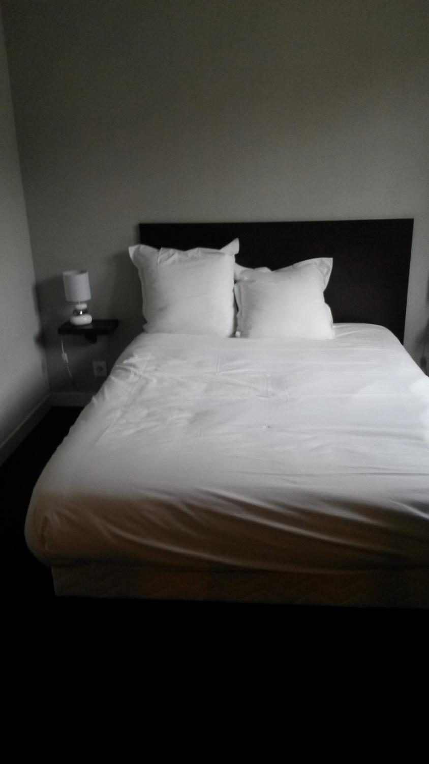 Hotel Le Cygne-客卧
