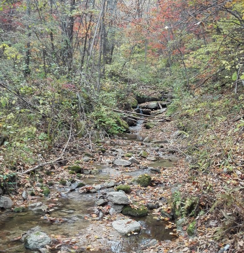 白鸡腰森林公园-通化市必去景点