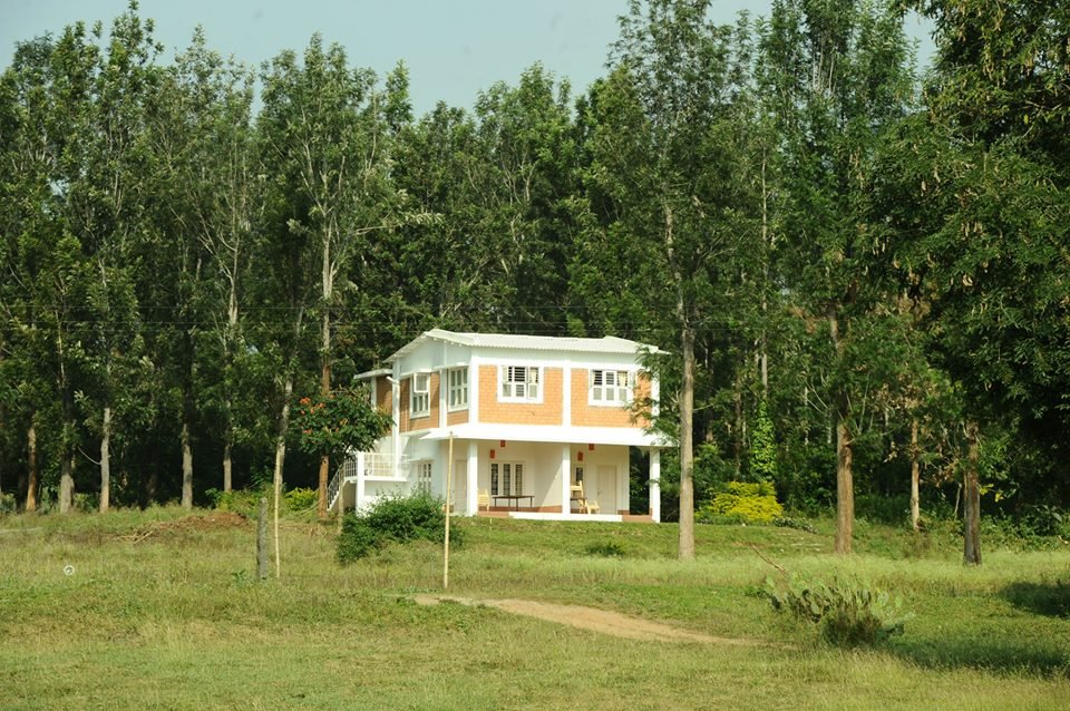 River Valley Resort-官方