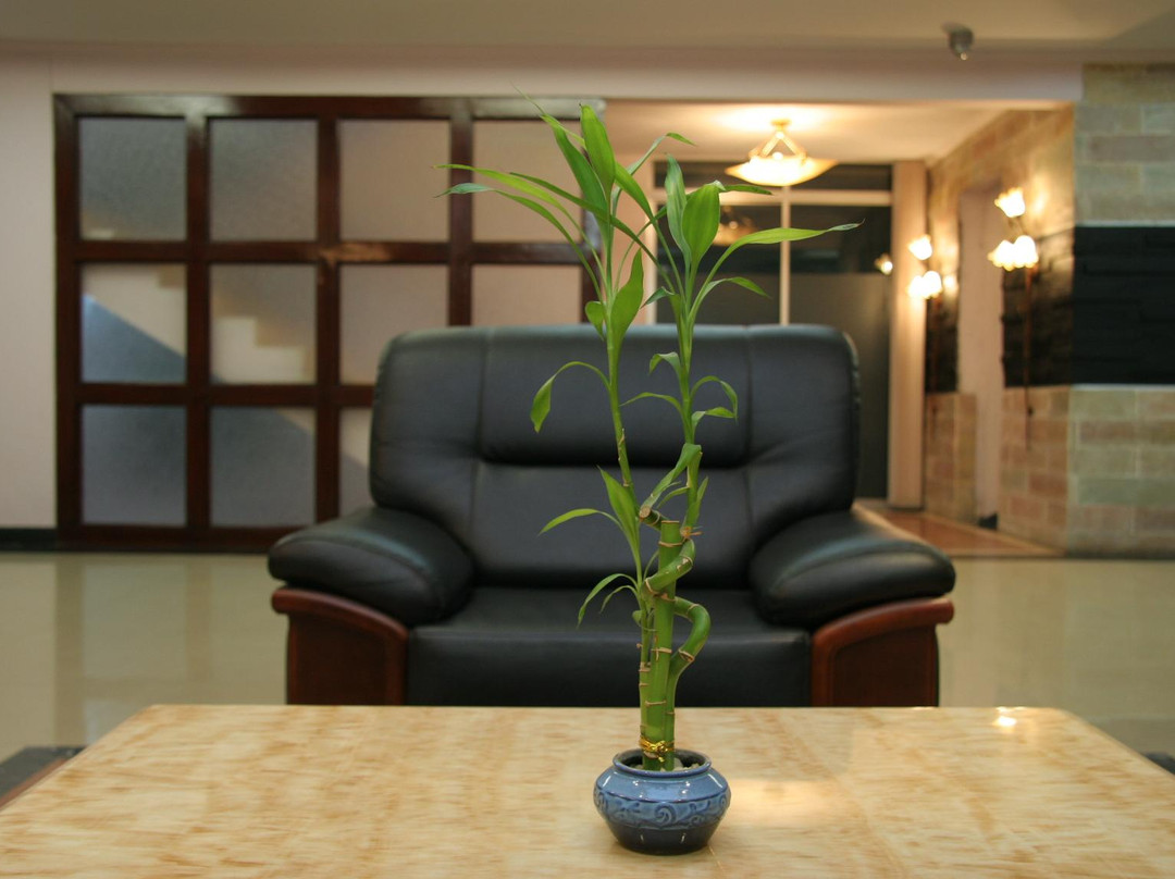 Nirvana Inn
