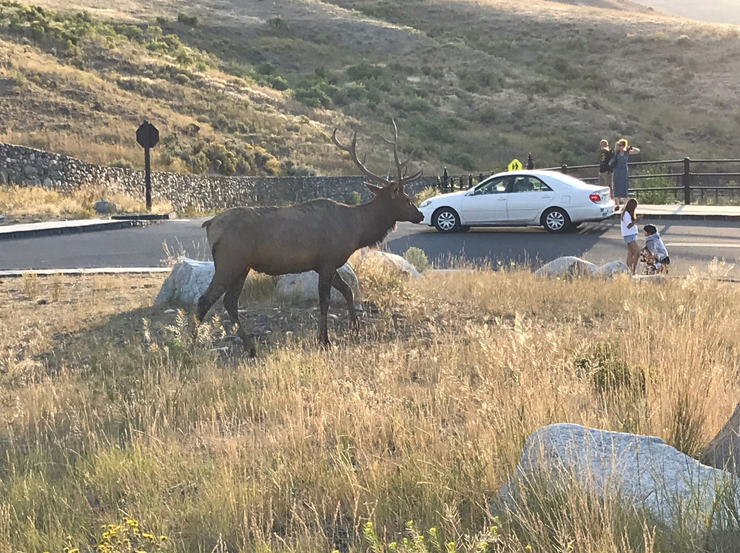 加德纳酒店住宿-406 Lodge