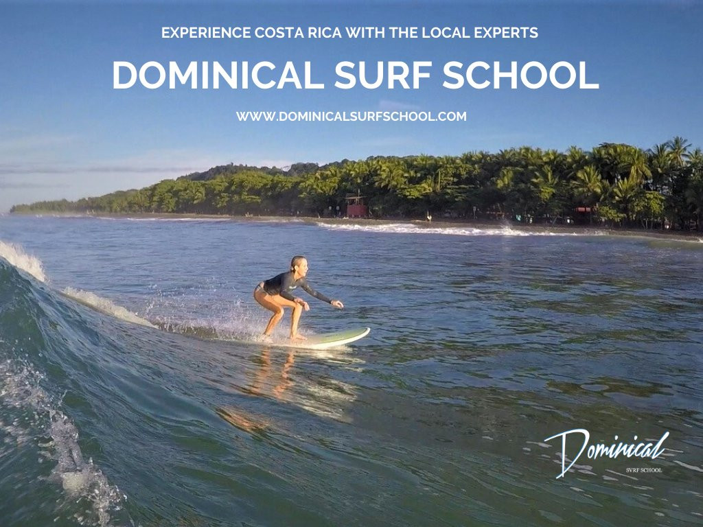 Dominical Surf School景点图片