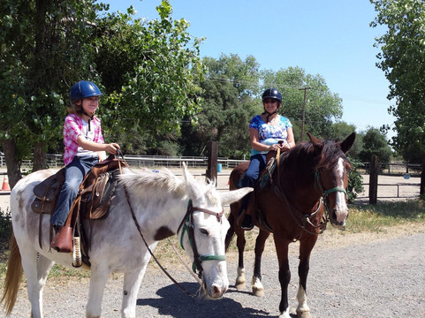 Shadow Glen Riding Stables-Fair Oaks必去景点