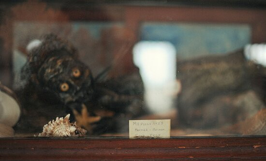 Mermaid Museum-Berlin必去景点