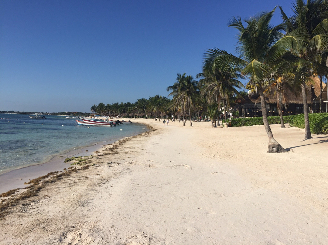 Akumal Beach景点图片