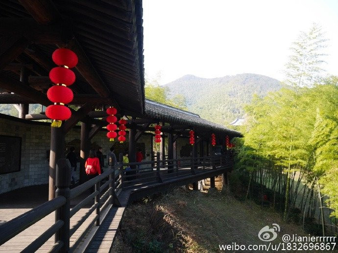 贡茶院-长兴必去景点