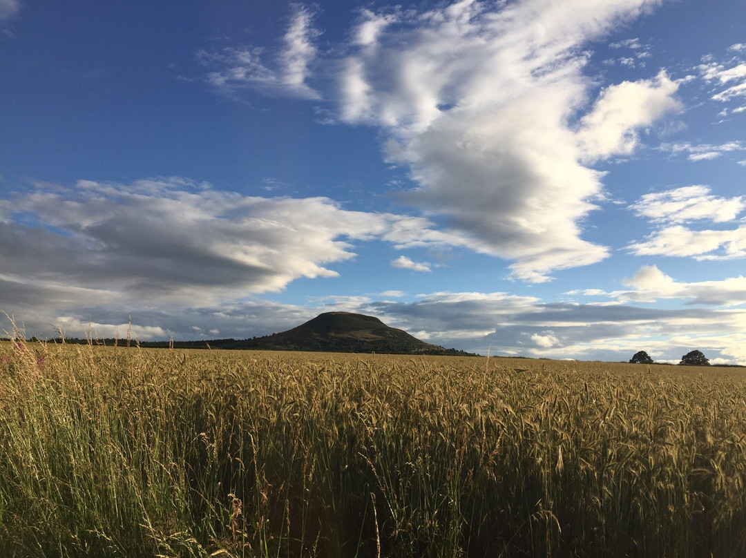 Scottish Borders旅游景点-Trimontium Museum