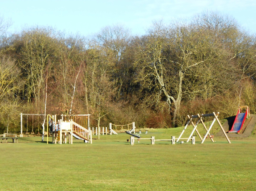 Hinchingbrooke Country Park景点图片