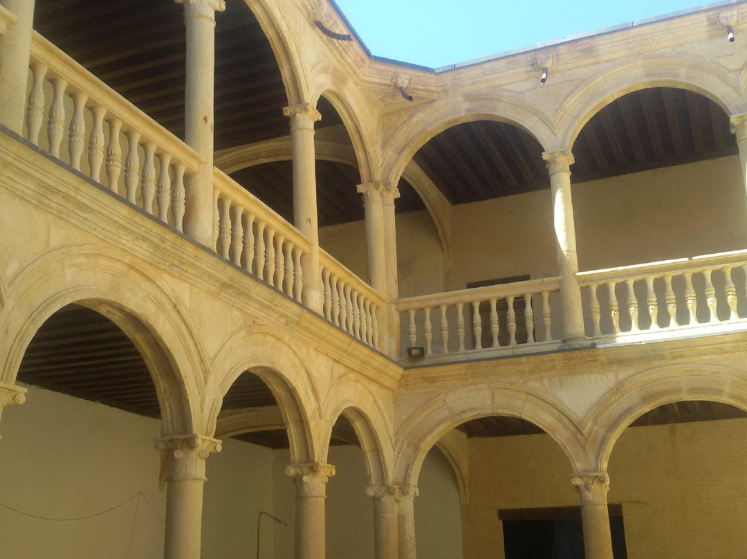 Palacio de los Condes de Grajal景点图片