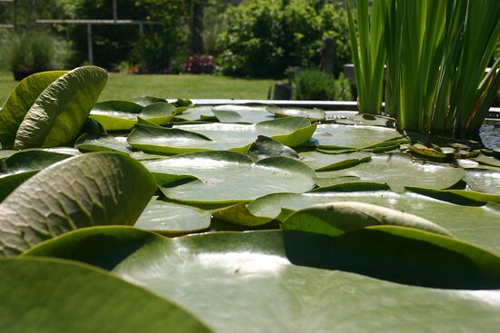 Les Jardins des Soussilanges主图