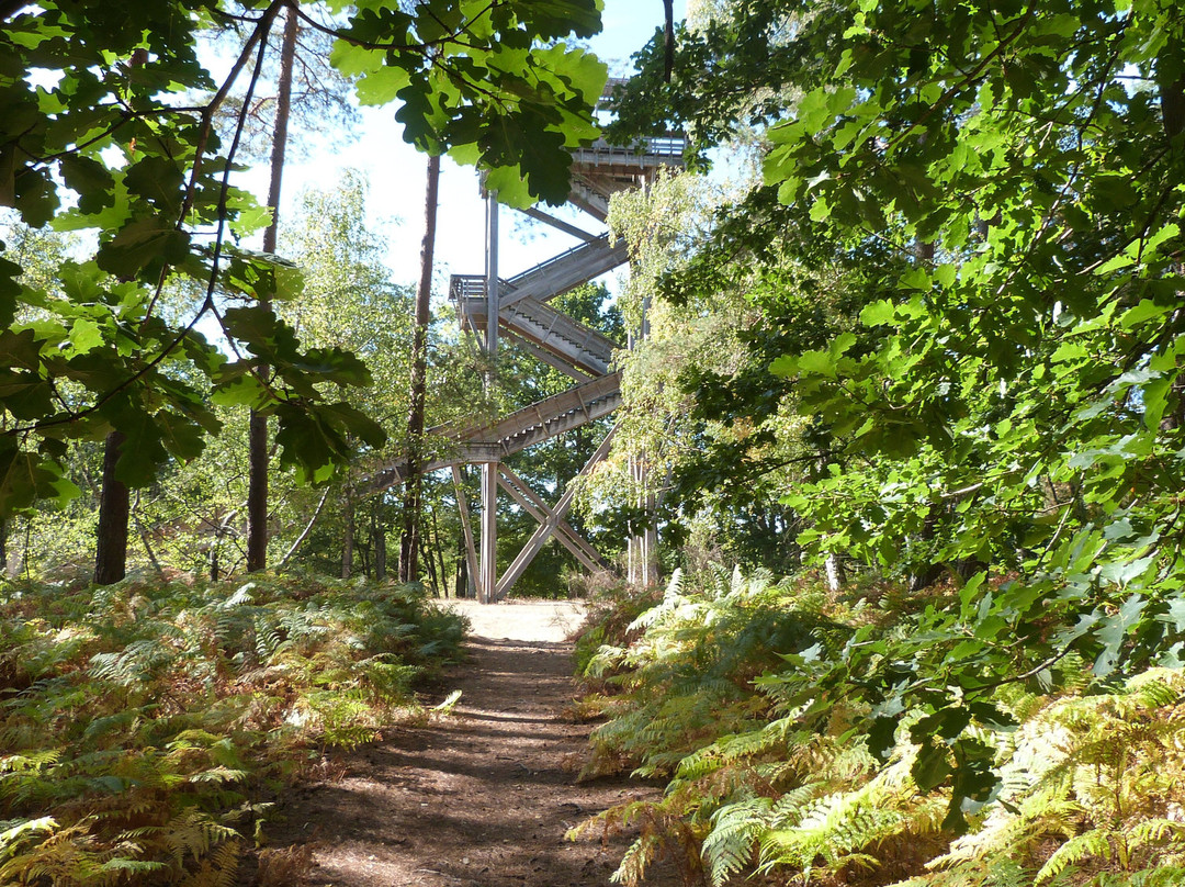 Belvédère Des Caillettes-Nibelle必去景点