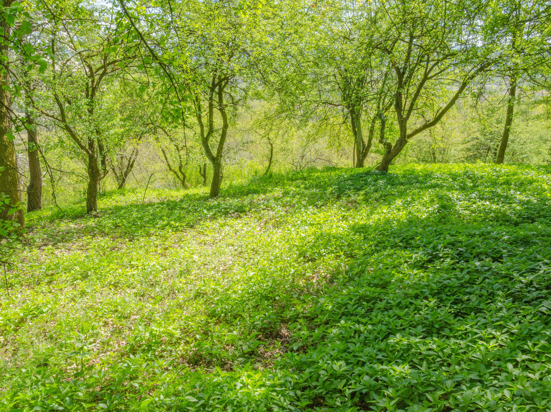 Kajasowka-Czernichow必去景点