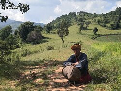 Jungle King Trekking Guide Services-格劳必去景点