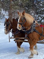 Rapp Corral-杜兰戈必去景点