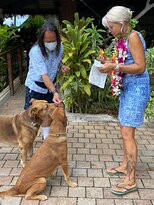 Huahine Private景点图片