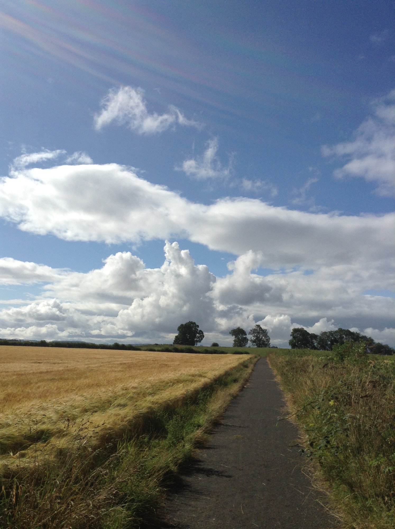 Tayside Hotel-官方