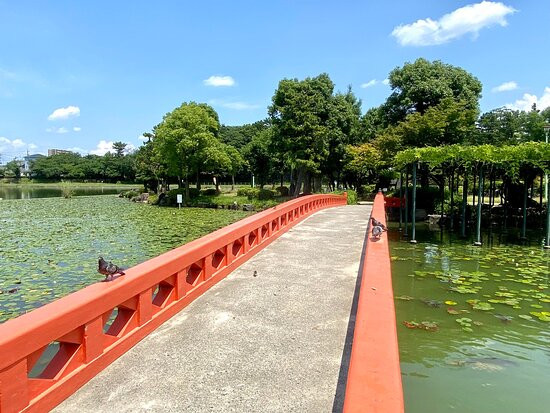 Tenno River Park景点图片