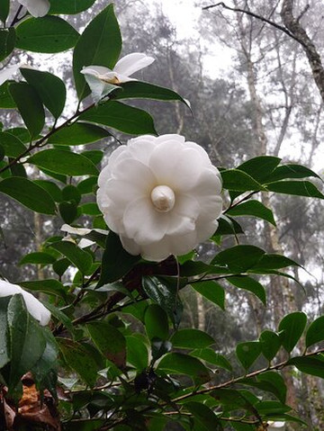 Parque Witeck-Novo Cabrais必去景点