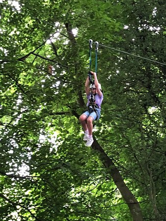Raven Tree Top Adventure景点图片