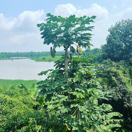 La Villa des Fees主图