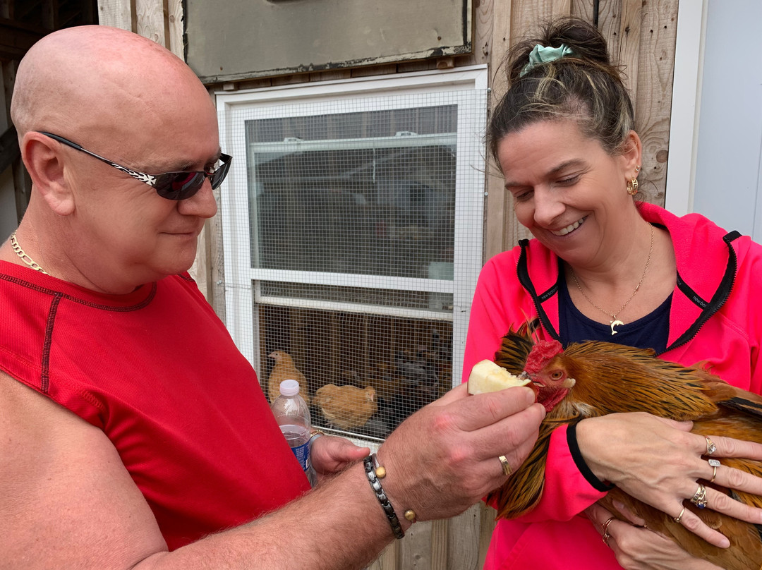 Belding Hill Farms-Hampton必去景点