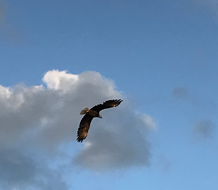 海景画海岸隐居酒店主图