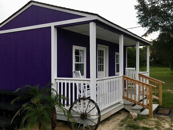 Southern Grace Lavender Farm景点图片