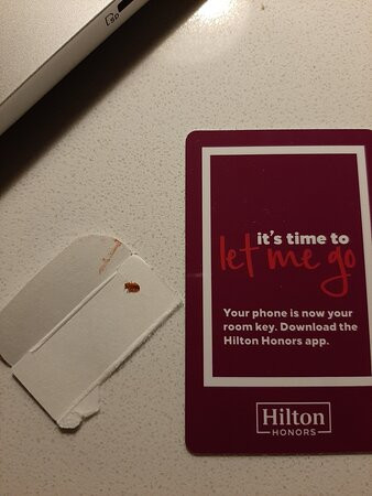 Hilton Garden Inn Toronto/brampton West主图