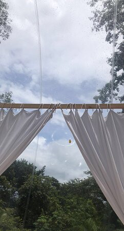 Satori Bubbles主图