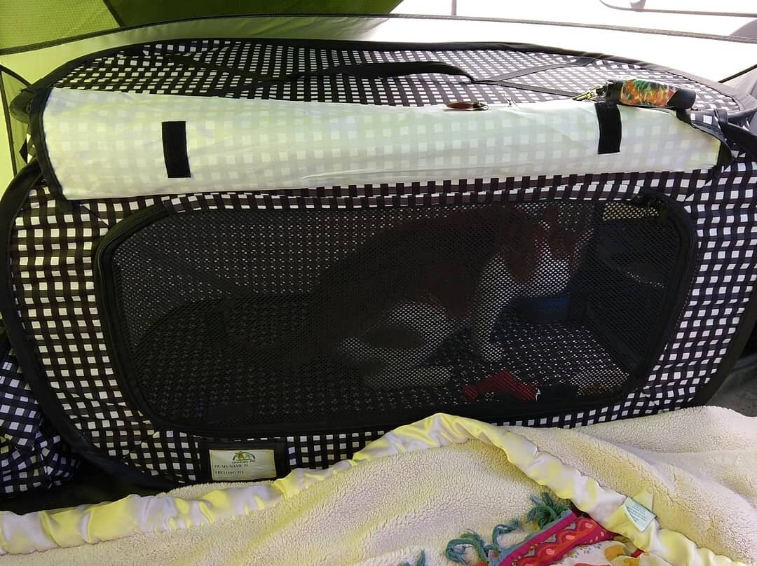 Faywood Hot Springs-Faywood必去景点