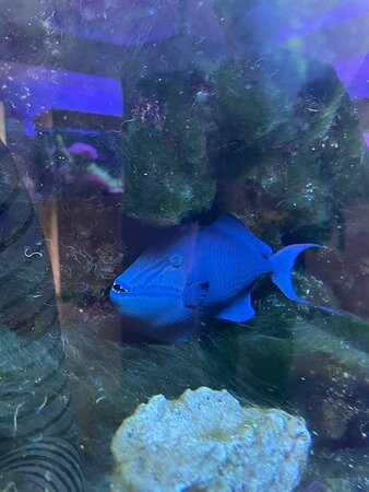 Aquarium Wasserbillig-Wasserbillig必去景点