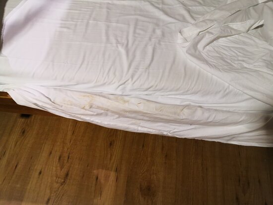 Hotel Residence Club Primula-客卧