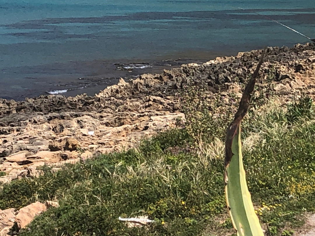 Punta del Saraceno景点图片