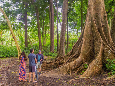 Habitat Institute Activity Centre, Seashell-哈夫洛克岛必去景点