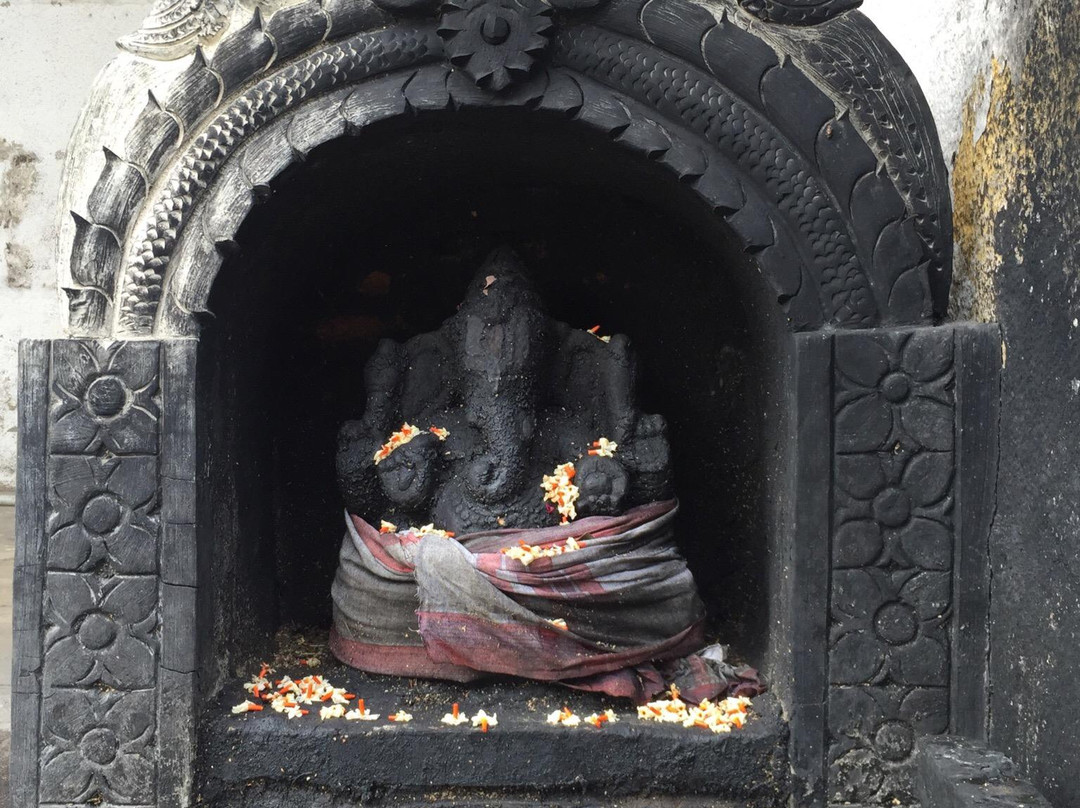 Sri Vijayaraghava Perumal Temple景点图片