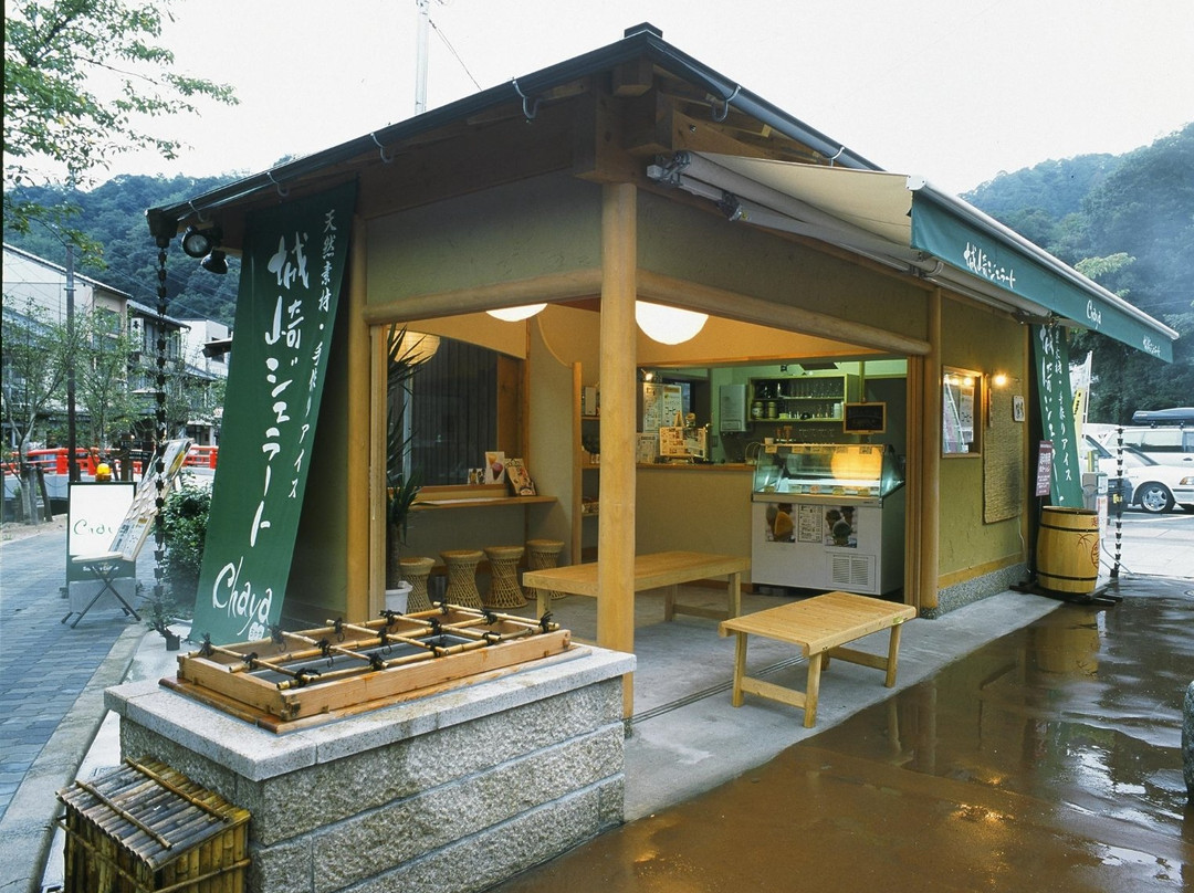 Yakushi Park Pocket Park-丰冈市必去景点