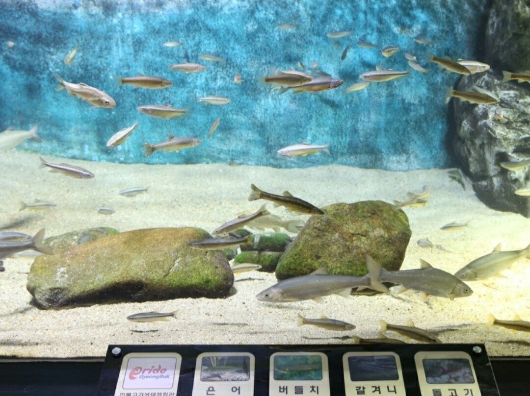 Freshwater Ecological Experience Center